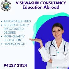 Vishwashri Consultancy